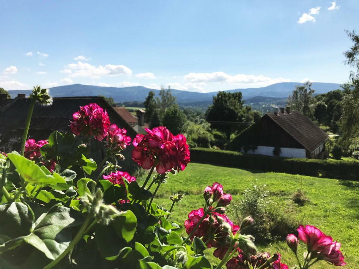 Chalupa Na peci Želnava Exteriér fotografie